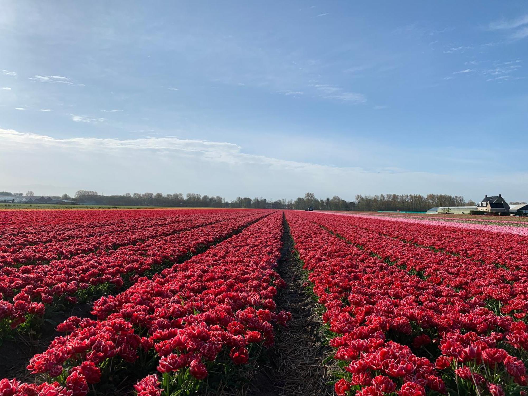 Het Oude Raadhuis Noordwijkerhout Luaran gambar